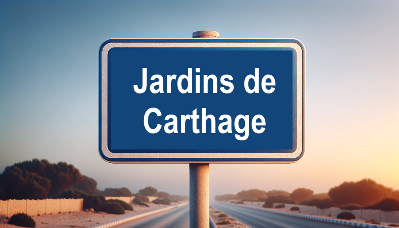 immobilier aux Jardins de Carthage