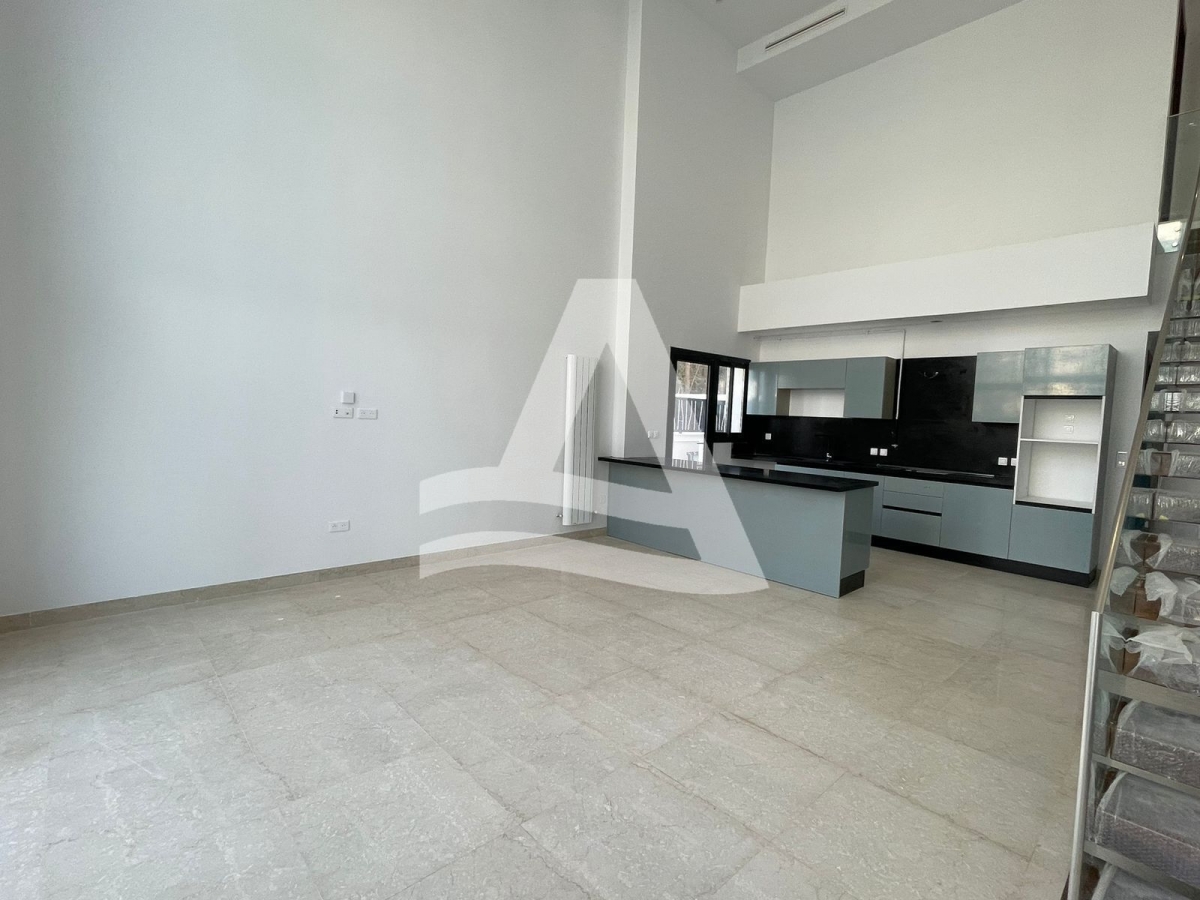 A vendre Loft au lac 2 image 3