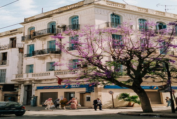 meilleur quartier tunis