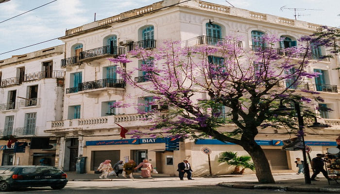 meilleur quartier tunis