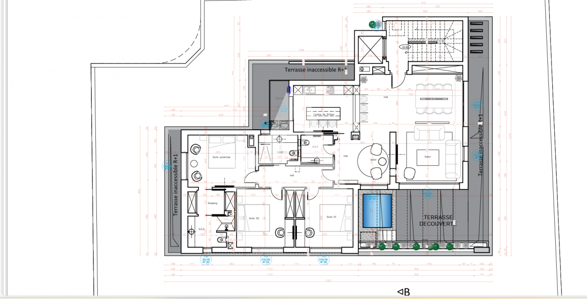 Penthouse sur plan à vendre à la Marsa image 4